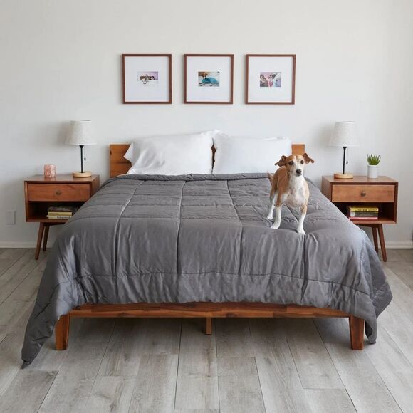 NWT/NIB Sheets and Giggles Eucalyptus Lyocell Comforter - Queen- $250 MSRP - Picture 3 of 3